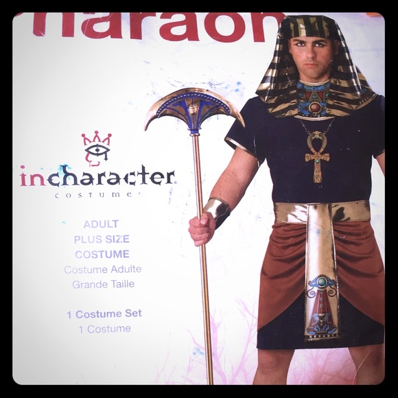 Men's Pharaoh Halloween Costume - Picture 1 of 7